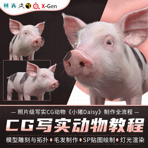 技术进阶教程 需要有良好的软件基础知识