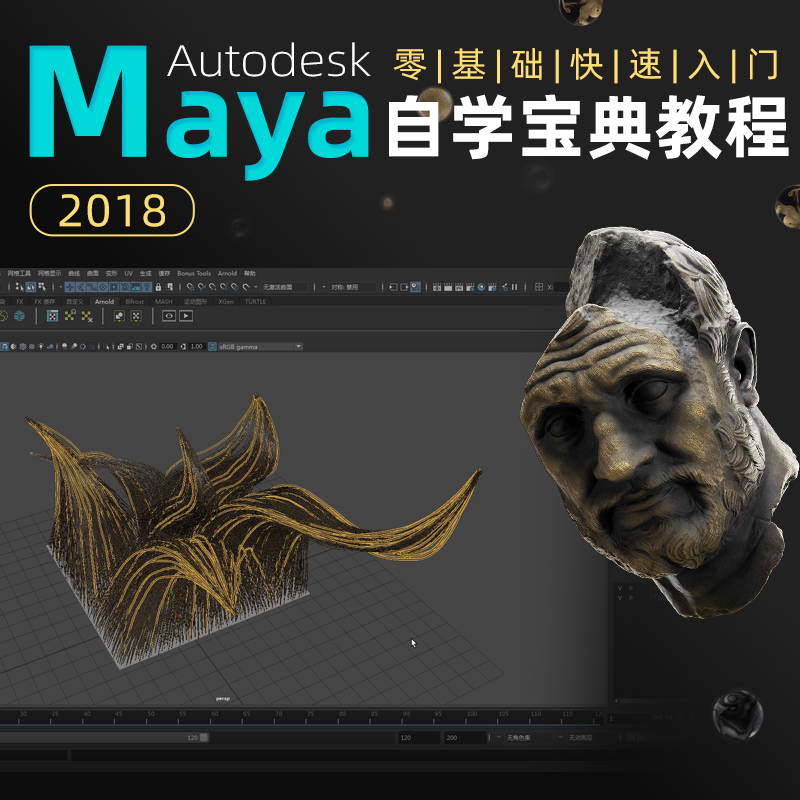 Maya全功能宝典 适合任何基础的三维学习者