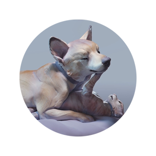 翼狐Maya/ZBrush教程动物CG雕塑手办雕刻渲染SP材质教学视频课程