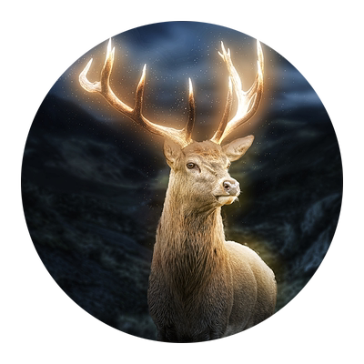 翼狐Affinity Photo教程零基础入门到精通软件系统教学视频课程