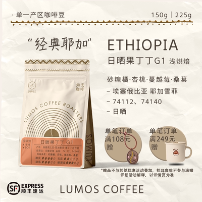 浅烘埃塞俄比亚手冲咖啡豆