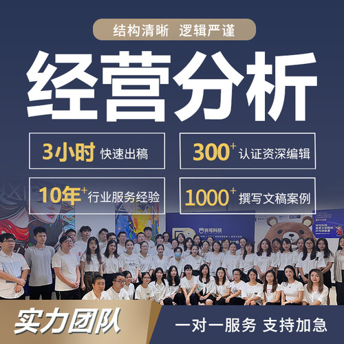 代写经营分析报告月度工作总结企业财务汇报公司销售情况说明计划