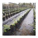 优质专用加厚底盘花盆防漏圆形尺寸20 60cm网状透气底垫托厂家