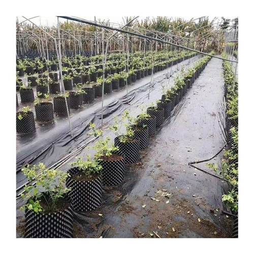 优质专用加厚底盘花盆防漏圆形尺寸20-60cm网状透气底垫托厂家