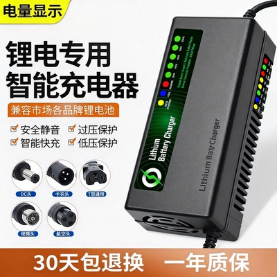 自动断电48V锂池车充器铁