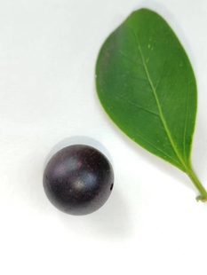 小叶降真香散珠自由搭配DIY手工A想要几颗就选择几颗保证质量品相