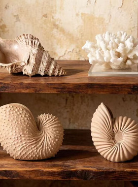 创意沙色贝壳树脂海洋风桌面摆件