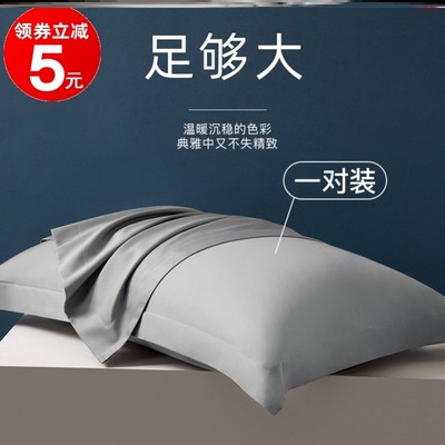 枕套大尺寸60x90枕头套60x80全棉一对装50cmx80cm特大号不含芯