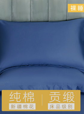 100全棉大枕套50x80一对大尺寸纯棉蓝色男士单个50x90枕头套40x60