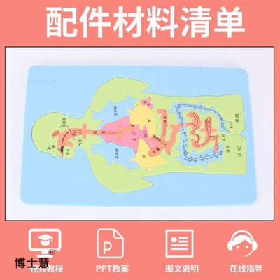 速发人体结构模型消化系统器官科教结构启蒙儿童解剖科学拼图