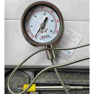 M22不锈钢带边高温隔膜压力表珍珠棉表 35mpa 上海朝辉PT124Y 614
