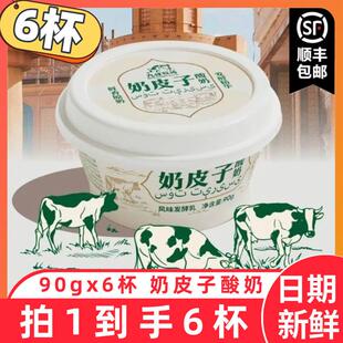 直供九峰牧场奶皮子酸奶生牛乳原味90gx6杯低温酸奶早餐奶