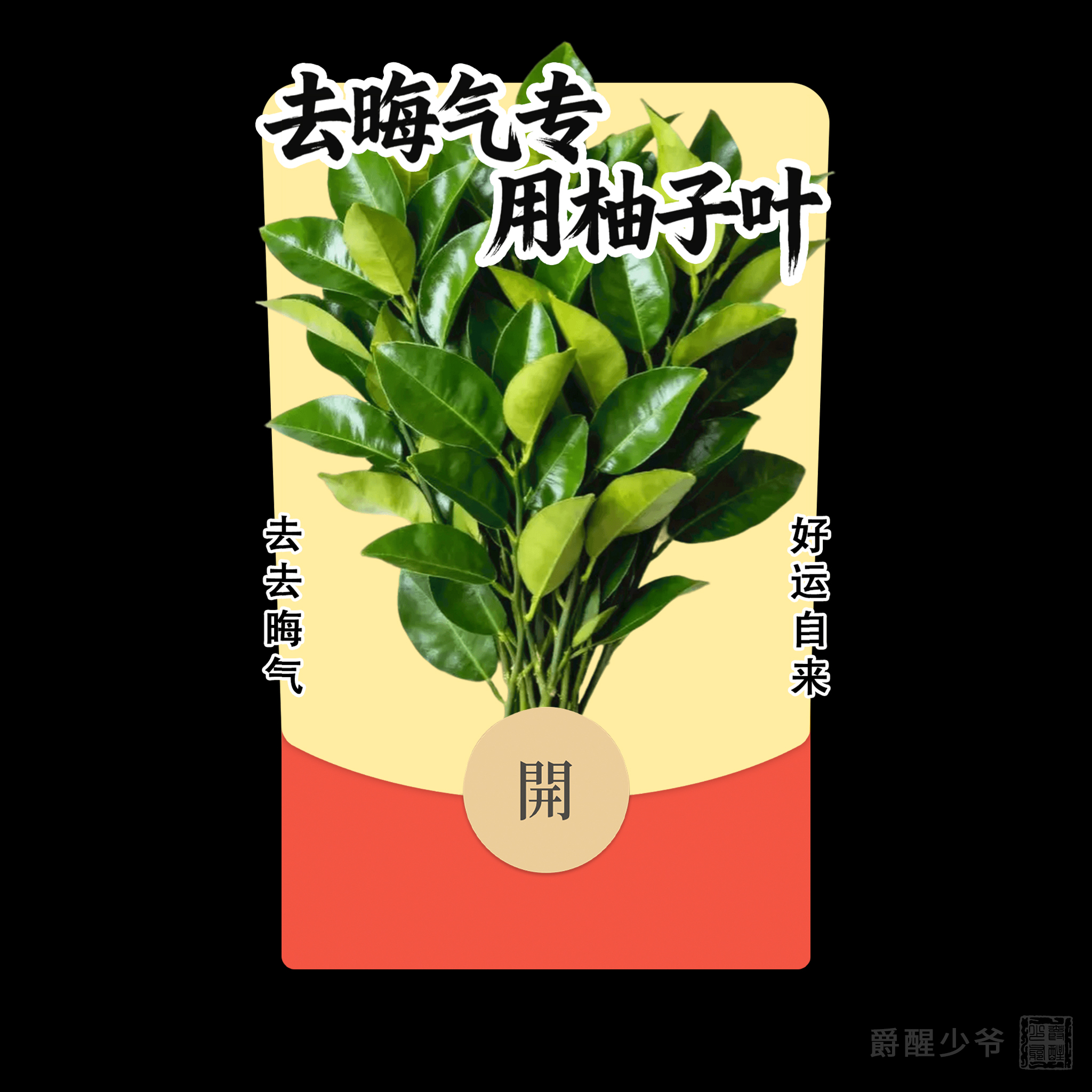 【去晦气专用柚子叶】2026马年创意微信红包封面原创设计皮肤祝福