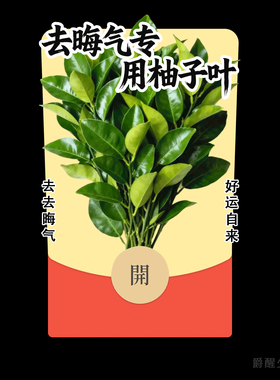 【去晦气专用柚子叶】2026马年创意微信红包封面原创设计皮肤祝福