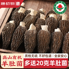 珊初物羊肚菌干货500g新鲜菌菇煲汤不特级野生干货旗舰店礼盒云南