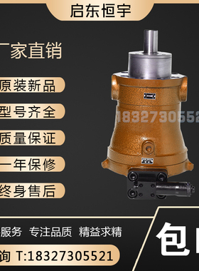 启东恒宇10/16/25/32/40/63/80/160/250/400PCY14-1B轴向柱塞泵