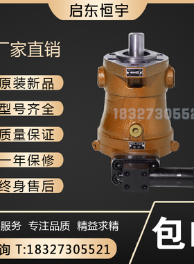 启东恒宇10/16/25/32/40/63/80/160/250/400PCY14-1D轴向柱塞泵