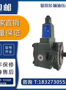 银川长城液压油泵VUP-16-6YBX-D10A(V3)YBX-25VPC-20叶片泵液压泵