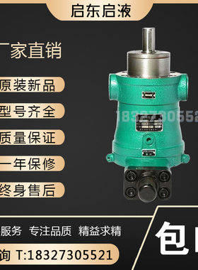 启东启液10/16/25/32/40/63/80/100/160/250YCY14-1B轴向柱塞泵
