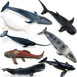 实心仿真海洋动物模型邓氏鱼抹香鲸虎鲸蓝鲸独角鲸男女孩玩具