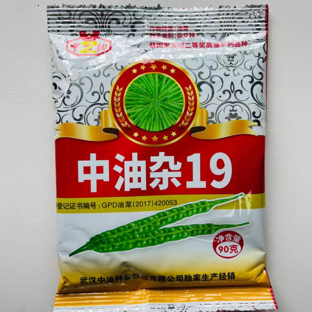 油菜种子高产中油杂19油菜种子9优质高产稳产蔬菜种子