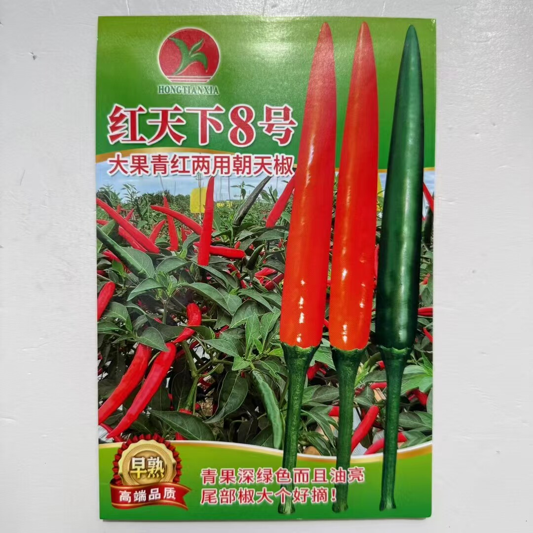红天下8号朝天椒种籽一代杂交单生朝天椒种子抗病高产辣椒种