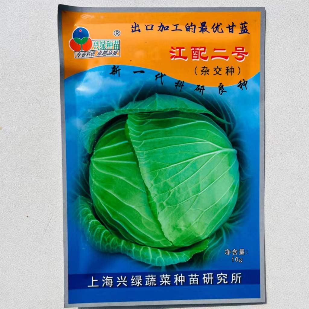 扁甘蓝种子青甘蓝扁圆形甘蓝种子东交种早熟高产蔬菜露天种苗