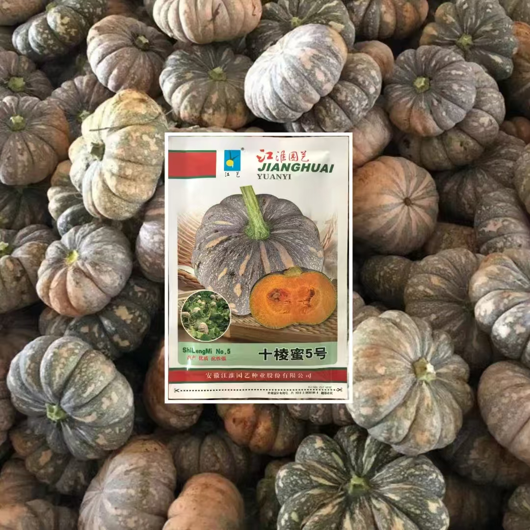 农家大田春秋季播种蔬菜种子