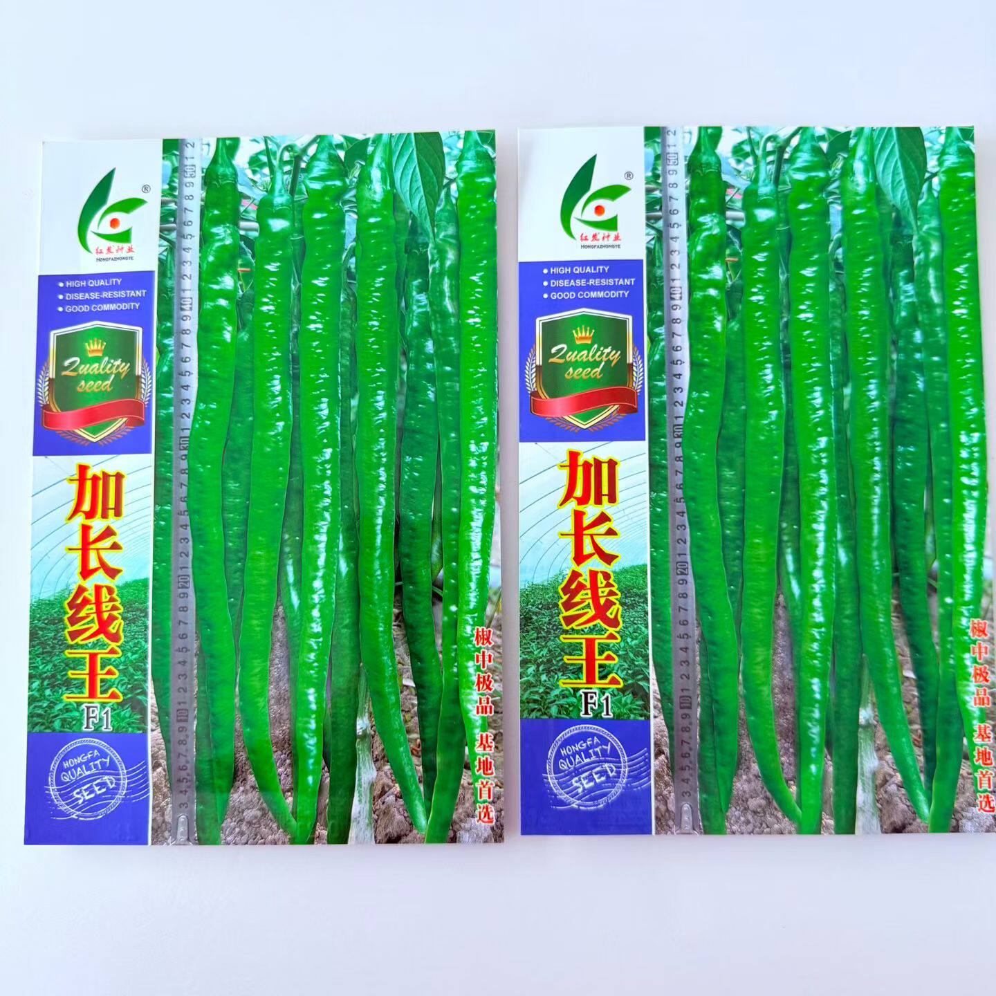 加长辣椒种子早熟高产线椒种子条椒种子长线椒青辣椒种