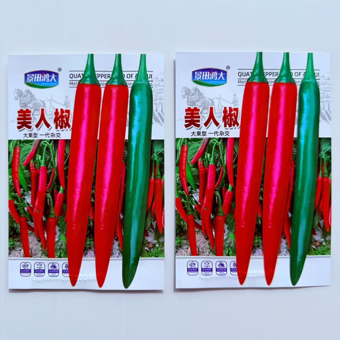 美人椒辣椒种子中早熟美人椒辣味浓椒条直结果多基地播