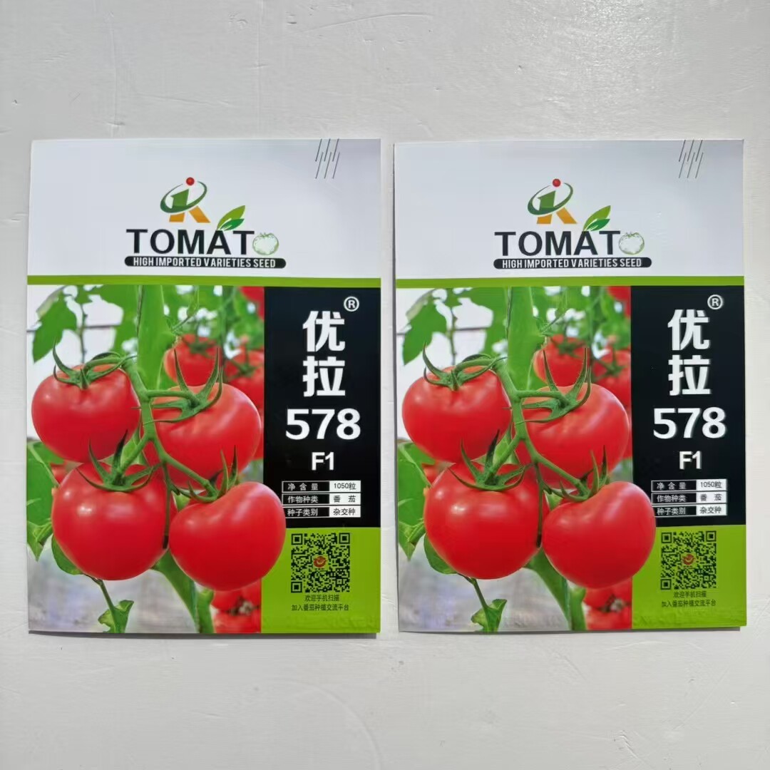 578番茄种子西红柿种籽子小番茄种孑子阳台盆栽蔬菜种籽