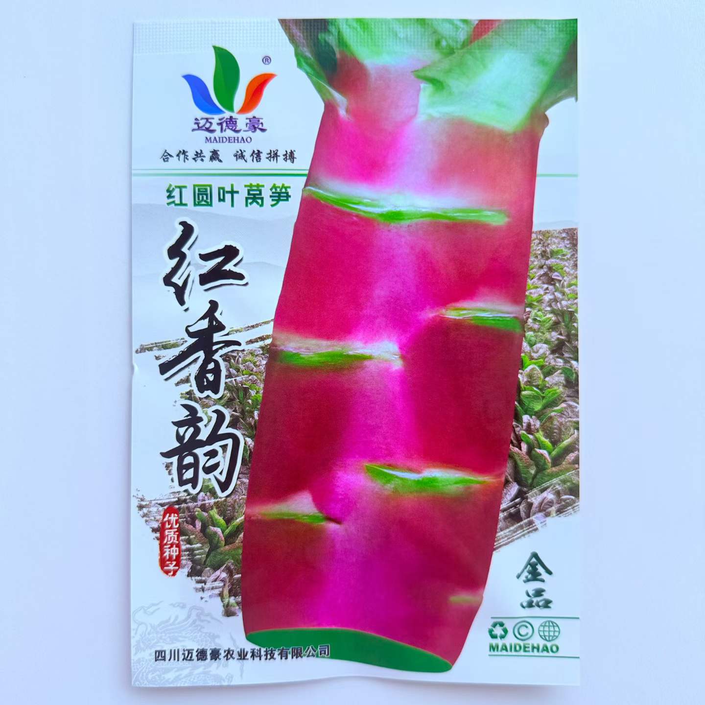 红皮香莴苣种子红皮青肉红香韵红圆叶莴笋种子四季蔬菜种苗可盆栽