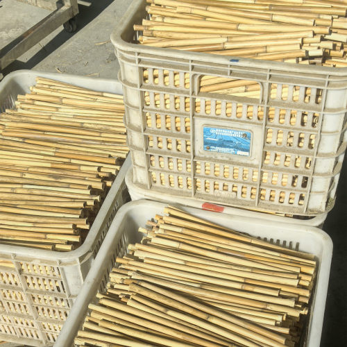 【天然芦苇枝】幼儿园手工活动定制长短去皮干芦苇杆吊顶篱笆装饰