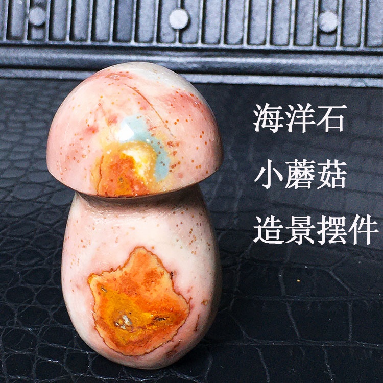 天然海洋石蘑菇手把件图画石把玩鱼缸花盆造景家居桌面装饰品摆件