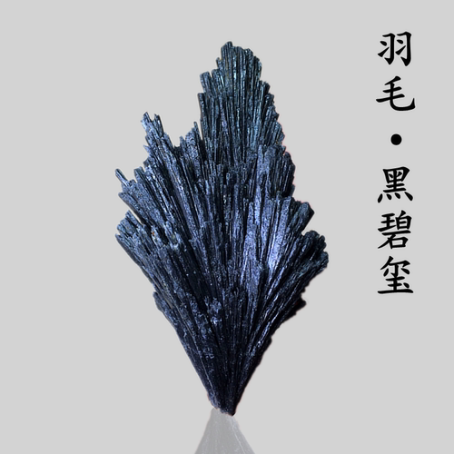 黑碧玺原石黑凤尾羽毛标本装饰品