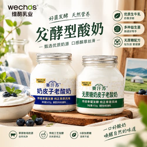 赛汗苏内蒙古传统奶皮子老酸奶单罐650g珍贵奶皮子 优质奶源