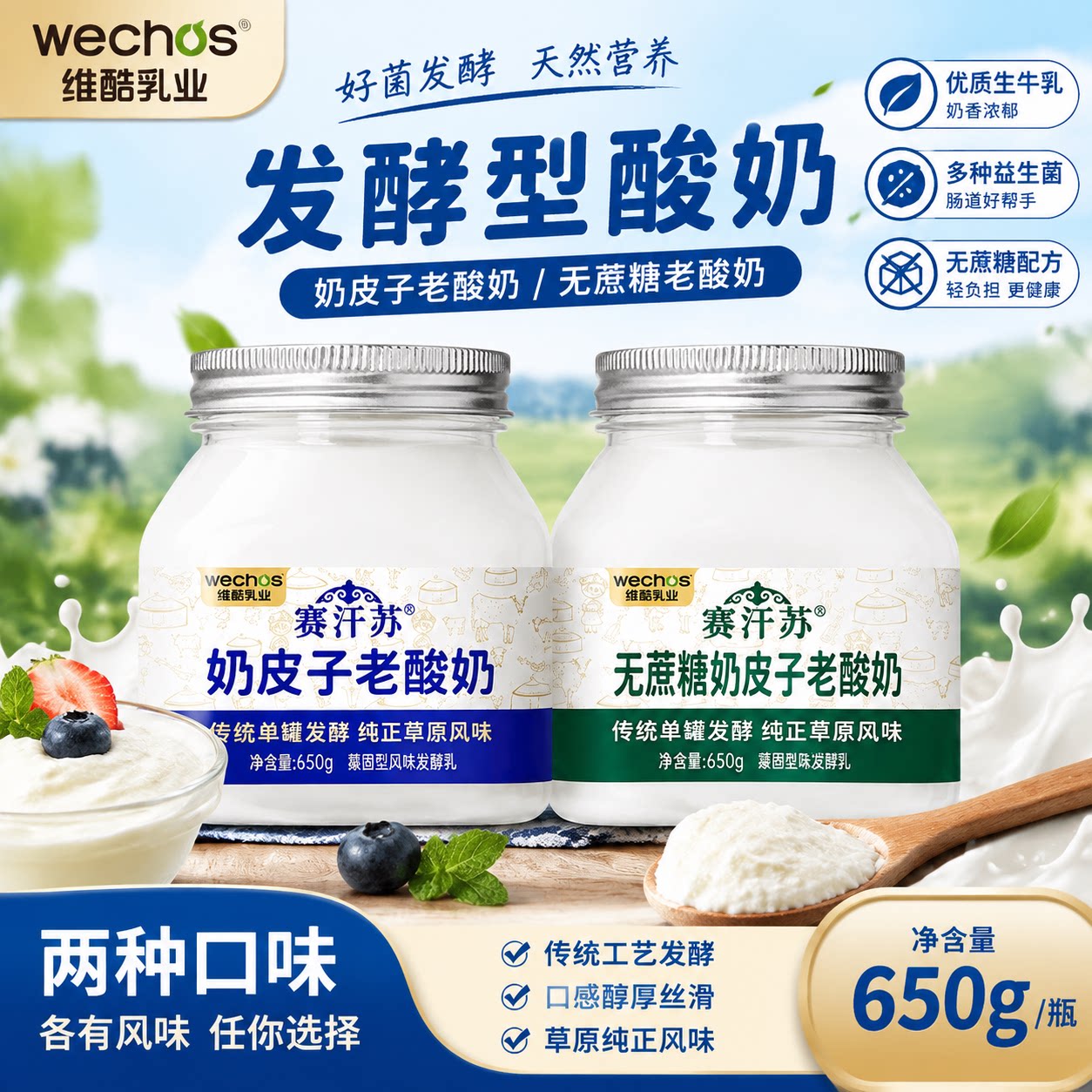赛汗苏内蒙古传统奶皮子老酸奶单罐650g珍贵奶皮子无添加剂