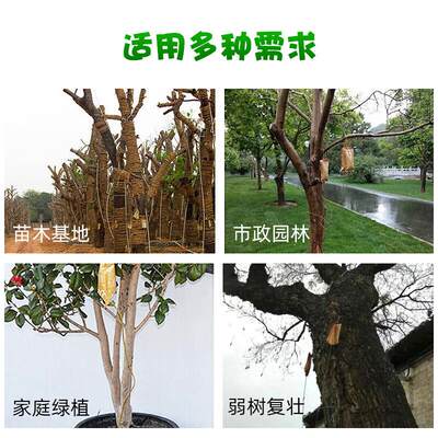 国光施它活大树营养液吊针液植物通用生根液树木移栽输液袋果树