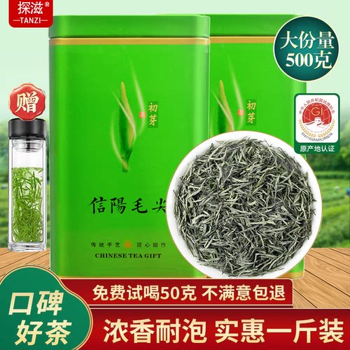 探滋2026新茶信阳毛尖雨前绿茶春茶鲜嫩芽叶浓香耐泡型茶叶500g