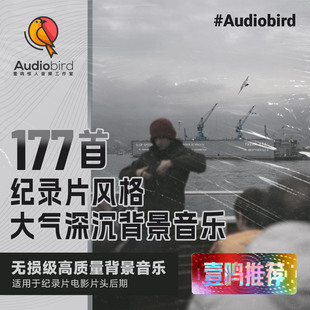 电影级纪录片风格背景音乐BGM大气深沉优雅活力情绪拉升音乐素材