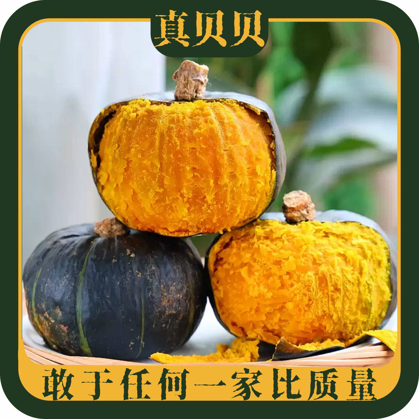 贝贝南瓜正宗板南瓜栗味贝贝