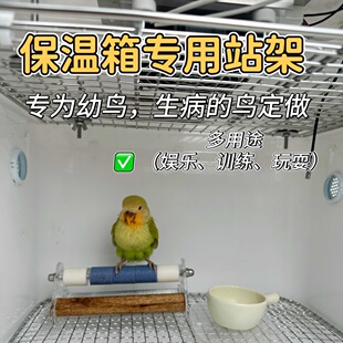 鹦鹉多用途站杆幼鸟保温箱专用站杆娱乐玩耍互动站杆