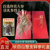 正宗长白山山参大个头人参整枝鲜参新鲜人参礼盒装 林下参新鲜现挖