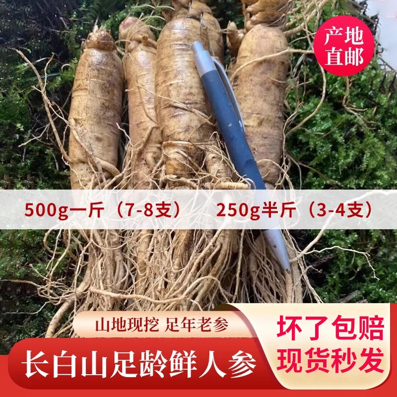 现挖鲜人参东北长白山人参林下山参鲜参新鲜人参泡酒送礼专用鲜参