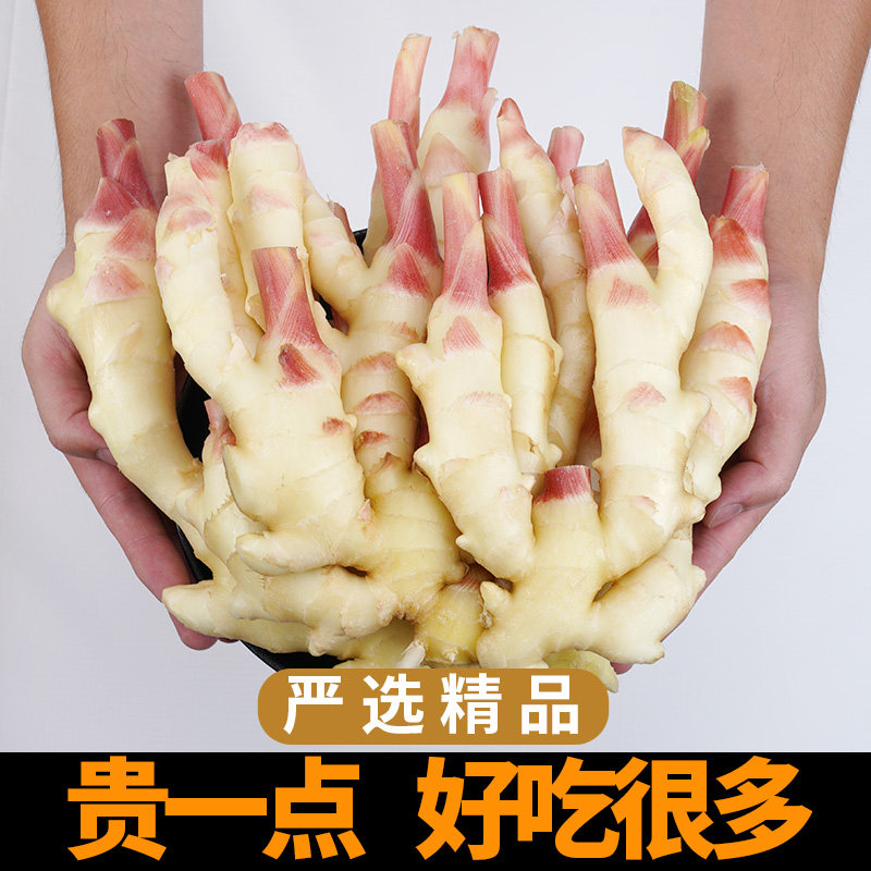 仔姜新鲜现挖5斤嫩姜泡姜红芽生姜糖醋姜山东指头姜非小黄姜农家