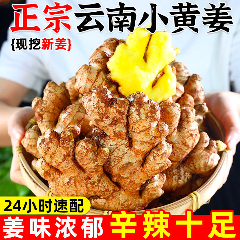 云南文山姜足斤现挖老姜新鲜生姜老月子5斤新鲜云南小黄生姜高山