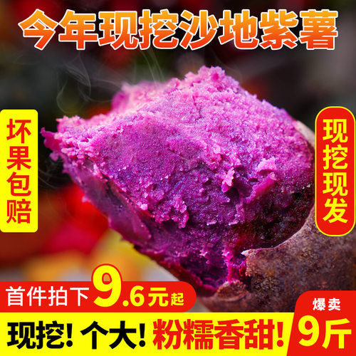 山东沙地紫薯粉糯香甜