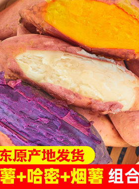 井禾村烟薯+哈密+紫薯组合装