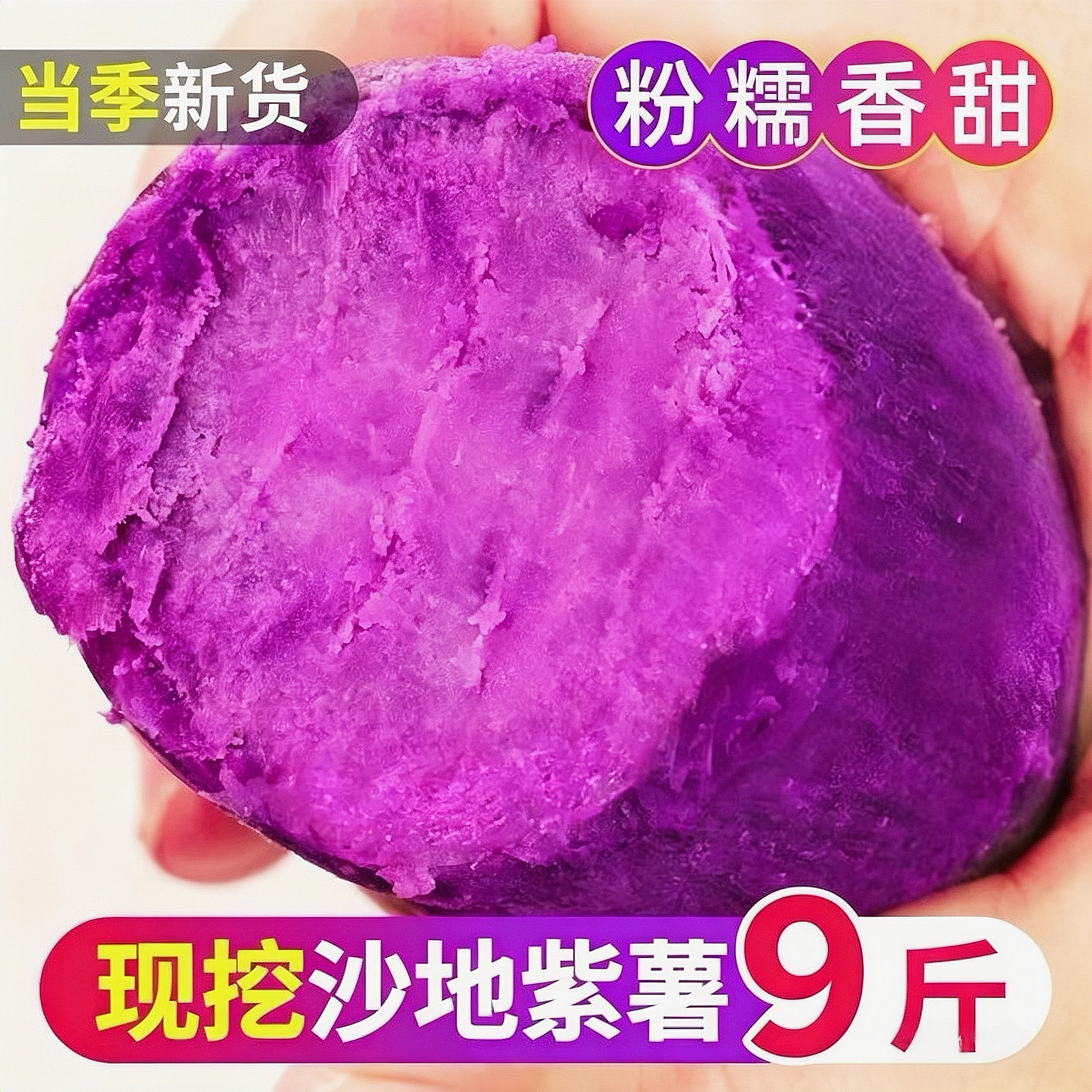 山东沙地紫薯粉糯香甜图片
