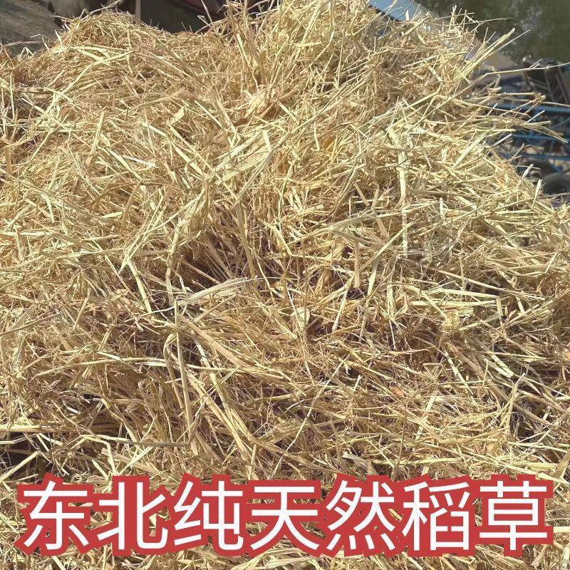 新天然干稻草秸秆干燥东北原产地